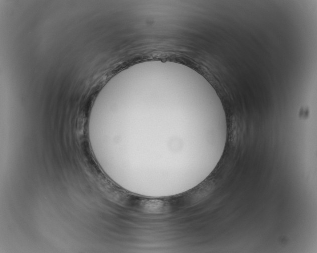 X0000113140230200909041004