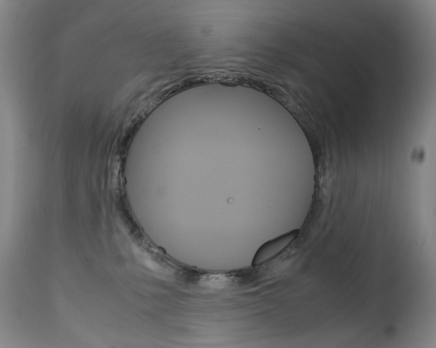 X0000113140231200909041004