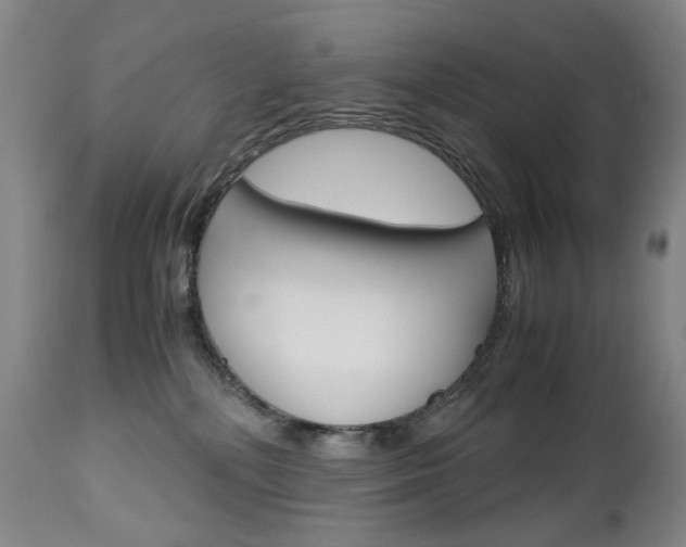 X0000113140232200909041004