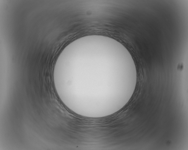 X0000113140233200909041004