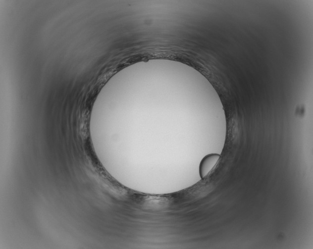 X0000113140234200909041004