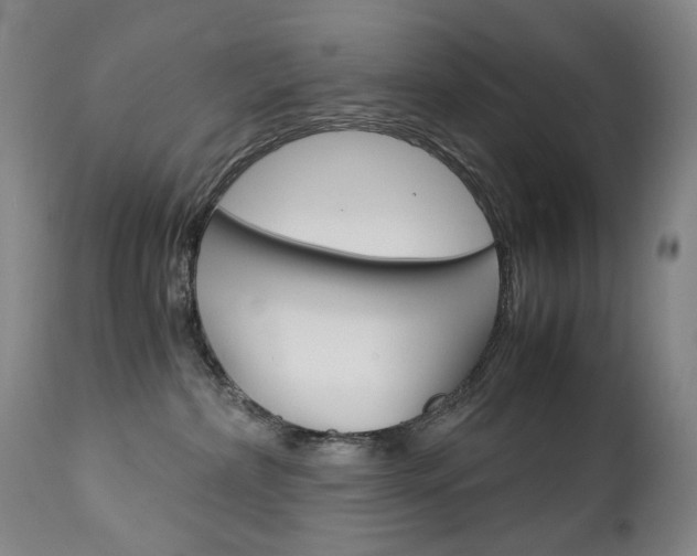 X0000113140236200909041004