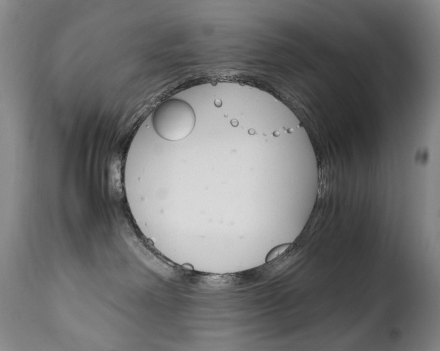 X0000113140238200909041004