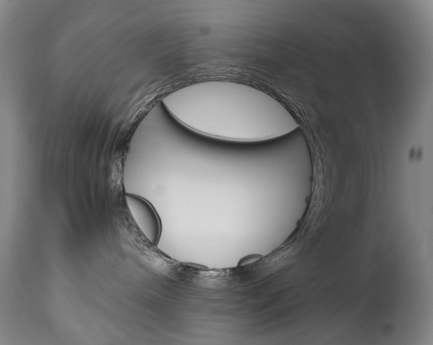 X0000113140240200909041004