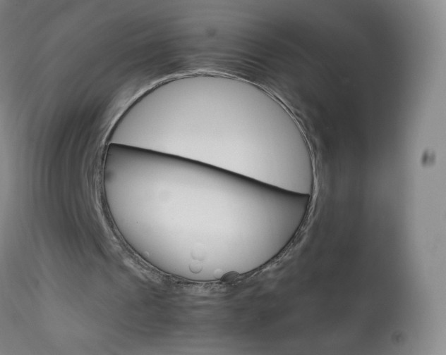 X0000113140241200909041004