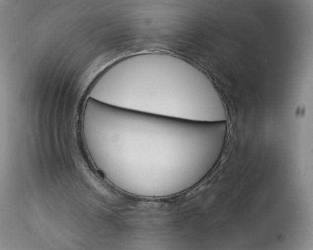 X0000113140242200909041004