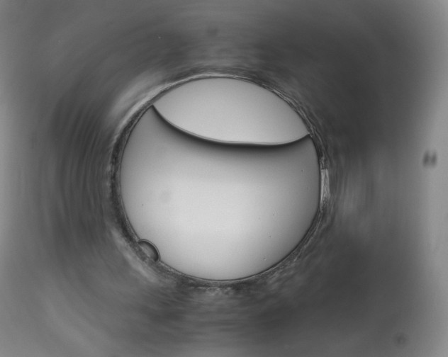 X0000113140243200909041004