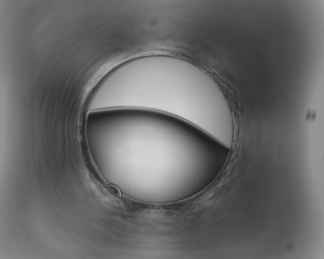 X0000113140244200909041004