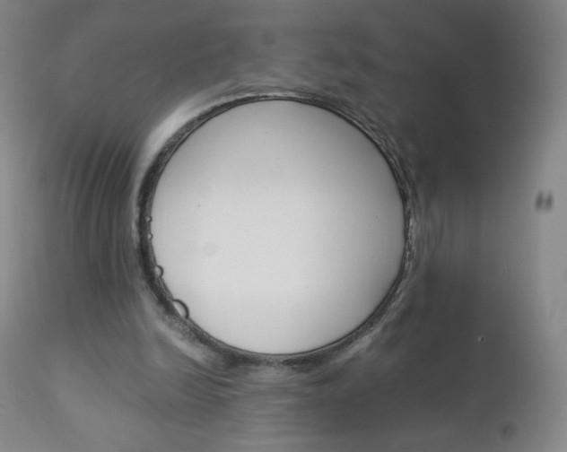 X0000113140246200909041004