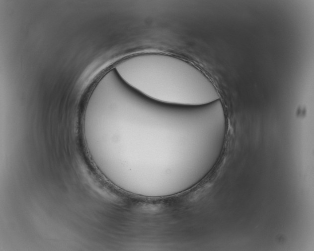 X0000113140247200909041004