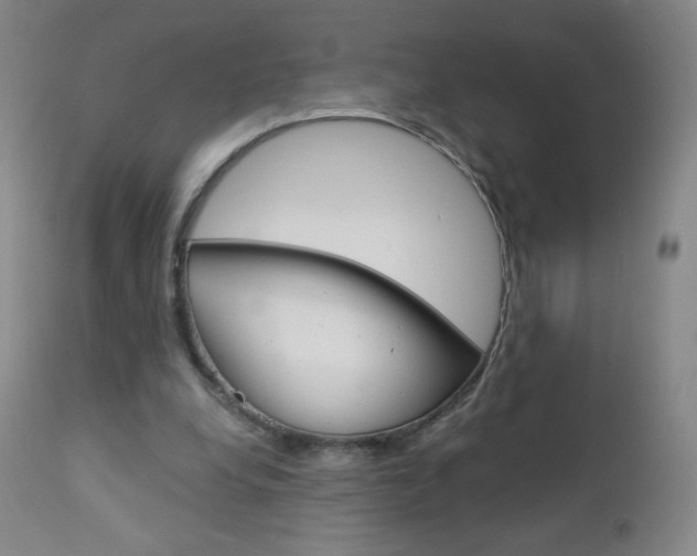 X0000113140248200909041004