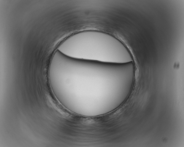 X0000113140249200909041004