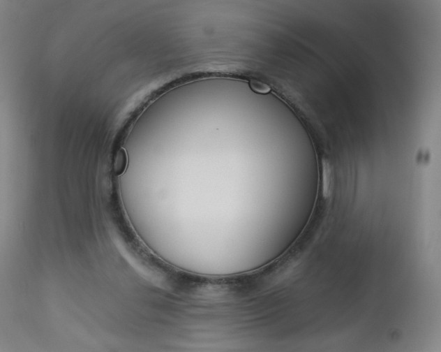X0000113140252200909041004