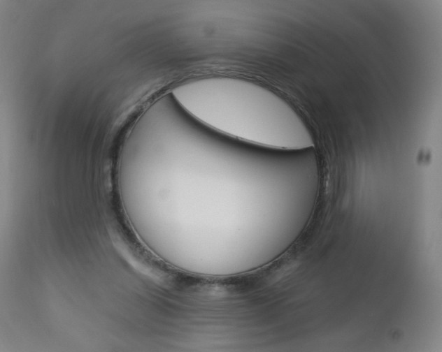 X0000113140254200909041004