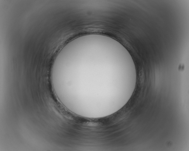 X0000113140255200909041004