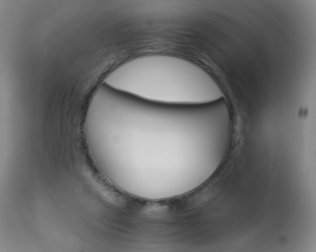X0000113140257200909041004