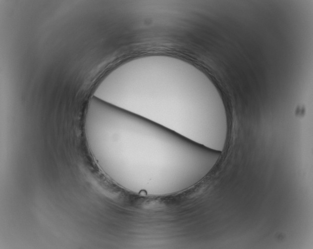 X0000113140258200909041004