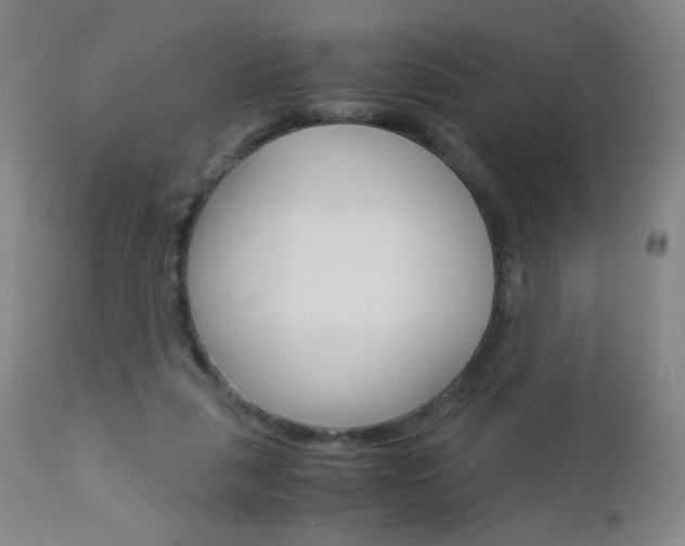X0000113140259200909041004