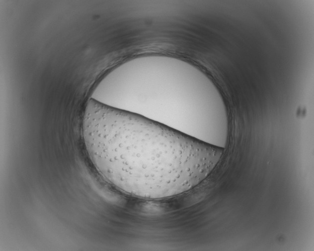 X0000113140261200909041004