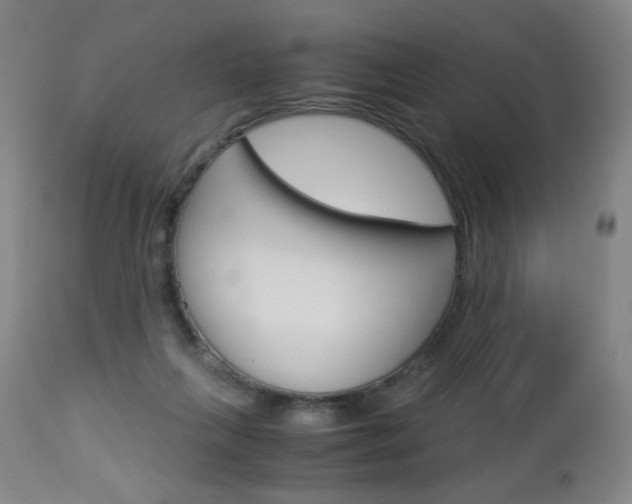 X0000113140263200909041004