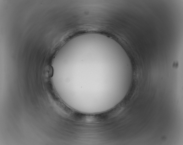 X0000113140264200909041004