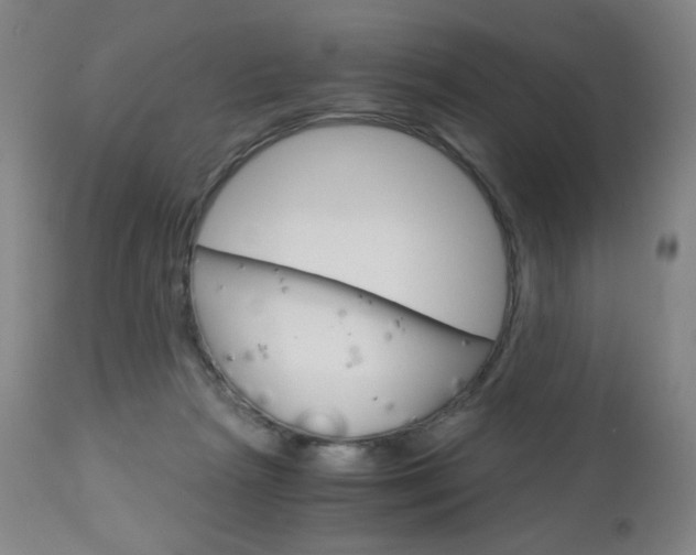 X0000113140265200909041004