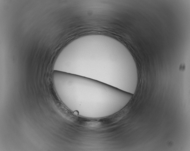 X0000113140266200909041004