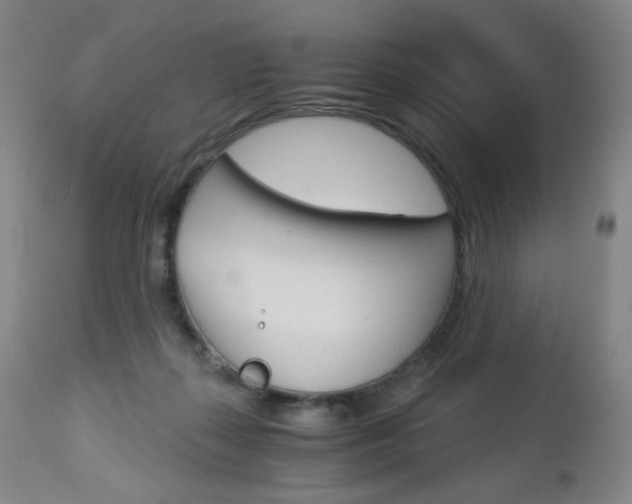 X0000113140267200909041004