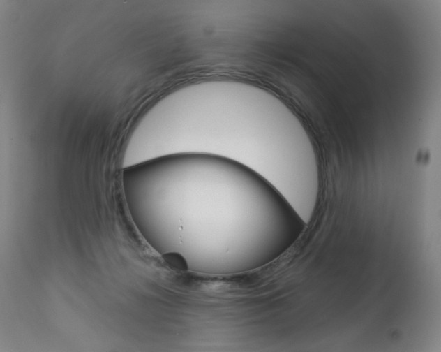 X0000113140268200909041004