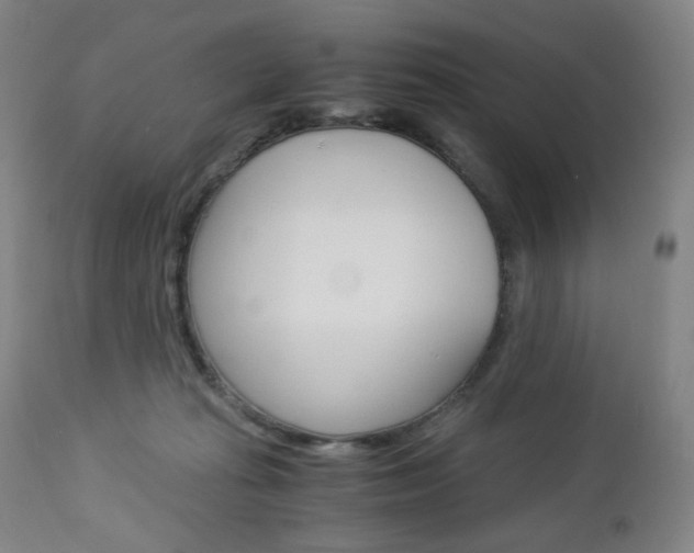 X0000113140269200909041004
