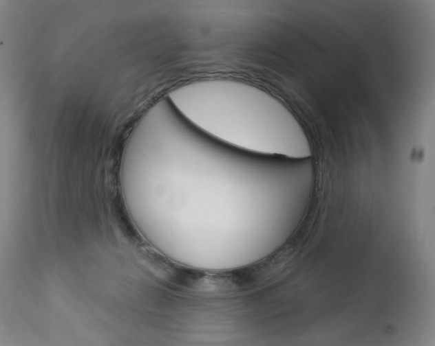 X0000113140270200909041004