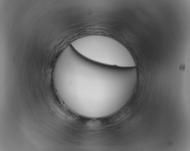 X0000113140271200909041004