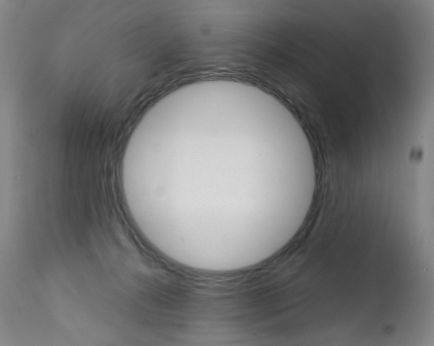 X0000113140272200909041004