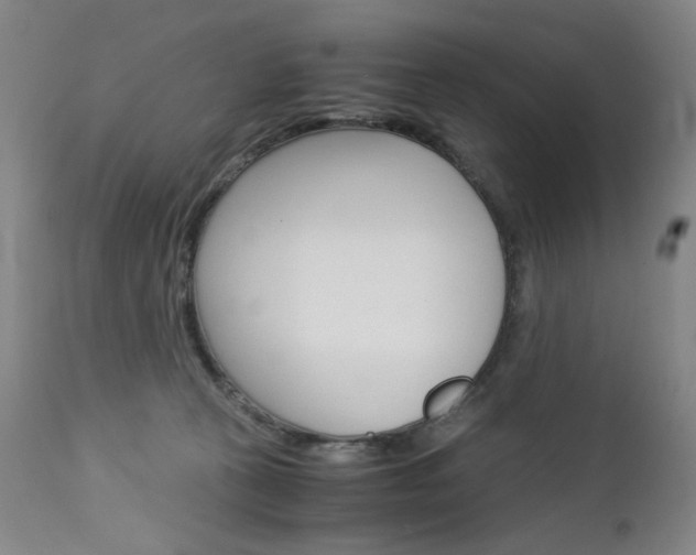 X0000113140273200909041004