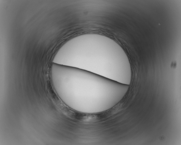 X0000113140274200909041004
