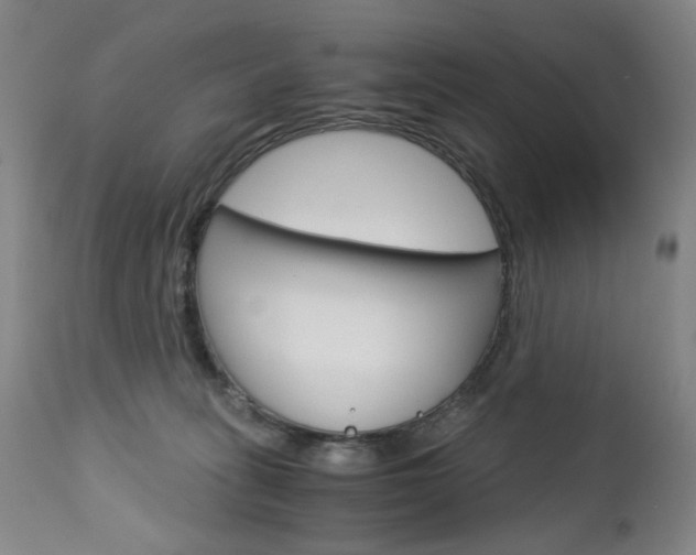 X0000113140275200909041004