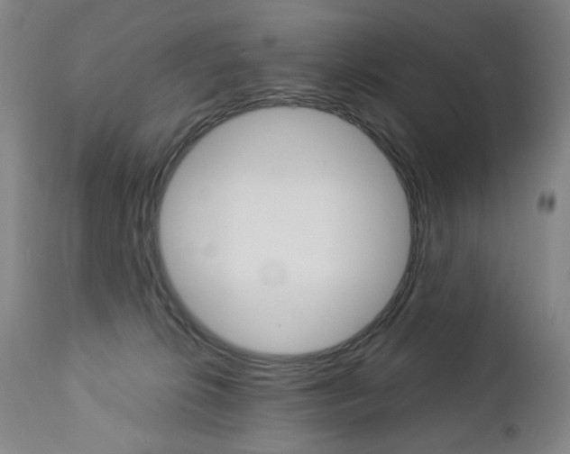 X0000113140276200909041004