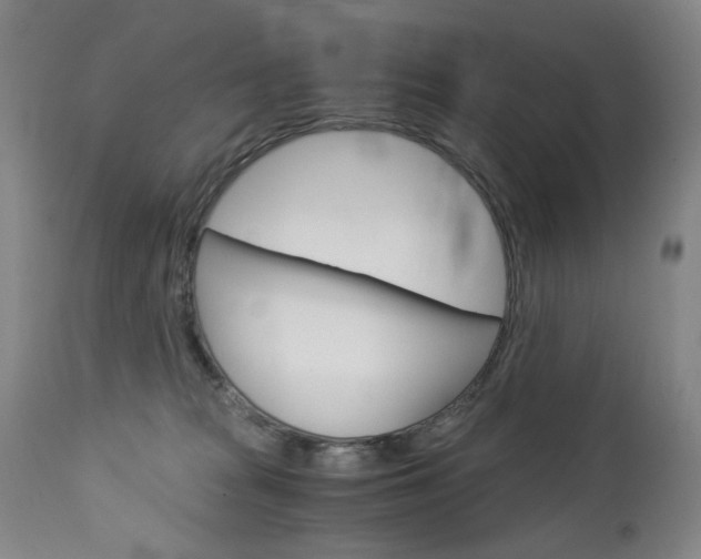 X0000113140277200909041004