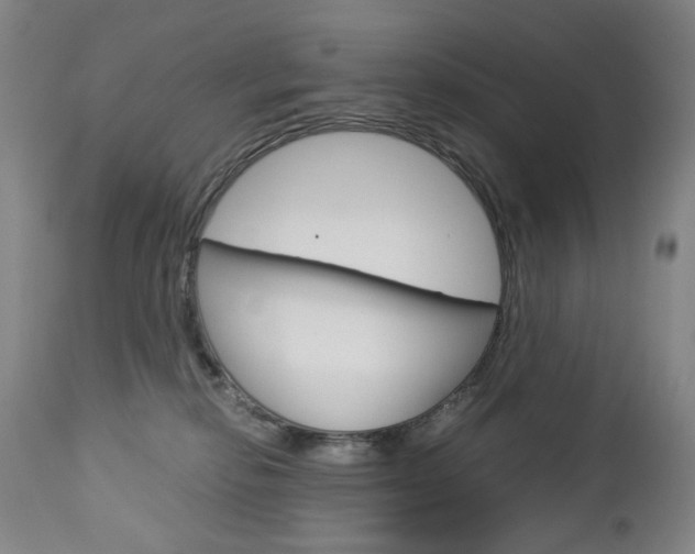 X0000113140278200909041004