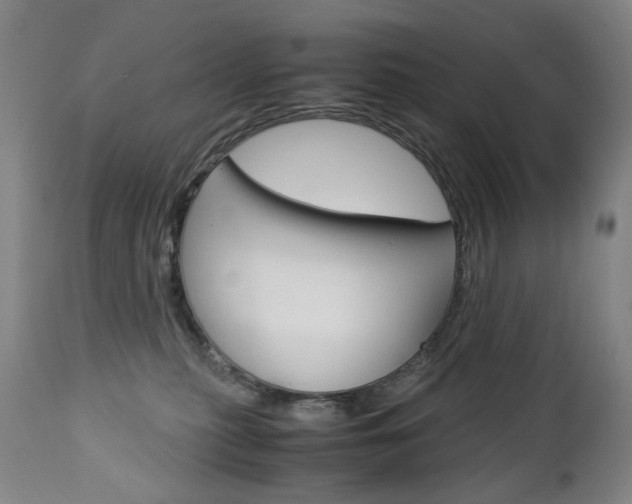 X0000113140279200909041004