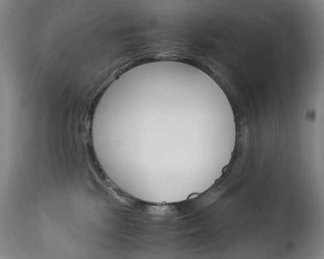 X0000113140281200909041004