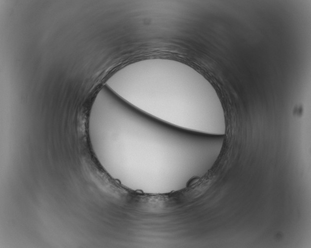 X0000113140282200909041004