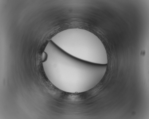 X0000113140283200909041004
