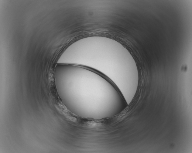 X0000113140284200909041004