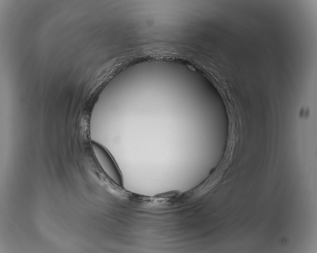 X0000113140288200909041004