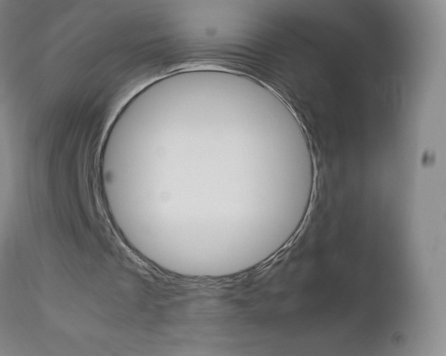 X0000113140289200909041004