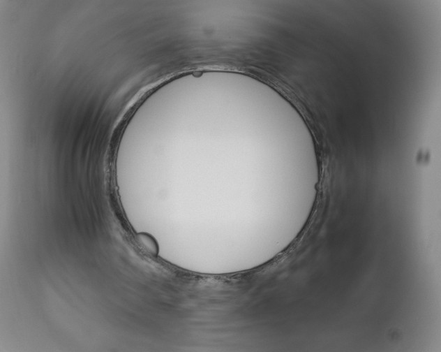 X0000113140290200909041004