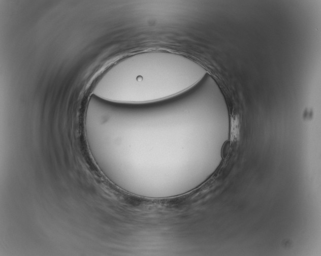 X0000113140291200909041004