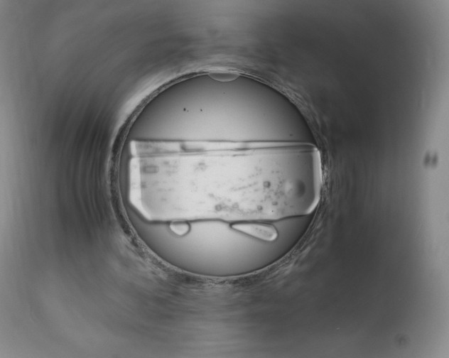 X0000113140292200909041004