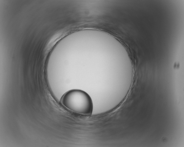 X0000113140293200909041004